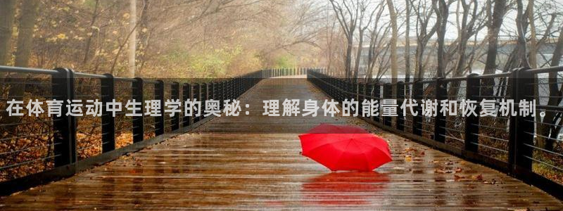 k1体育 十年品牌：在体育运动中生理学的奥秘：理解身体的能量代谢和恢复机制。