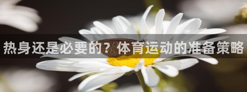 k1体育十年品牌：热身还是必要的？体育运动的准备策略