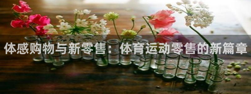 k1体育网址是多少：体感购物与新零售：体育运动零售的新篇章
