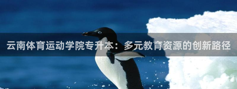 k1体育链接：云南体育运动学院专升本：多元教育资源的创新路径