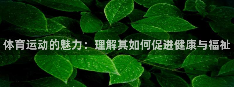 k1体育app官网登录入口：体育运动的魅力：理解其如何促进健康与福祉