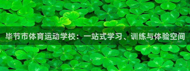 k1体育app：毕节市体育运动学校：一站式学习、训练与体验空间