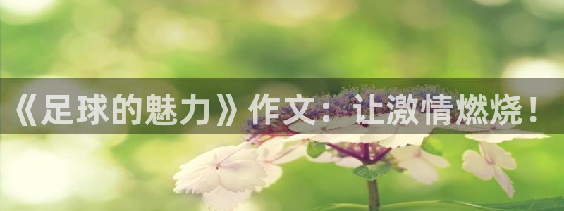 k1体育娱乐：《足球的魅力》作文：让激情燃烧！