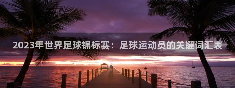k1体育十年品牌值得信赖网址：2023年世界足球锦标赛：足球运动员的关键词汇表