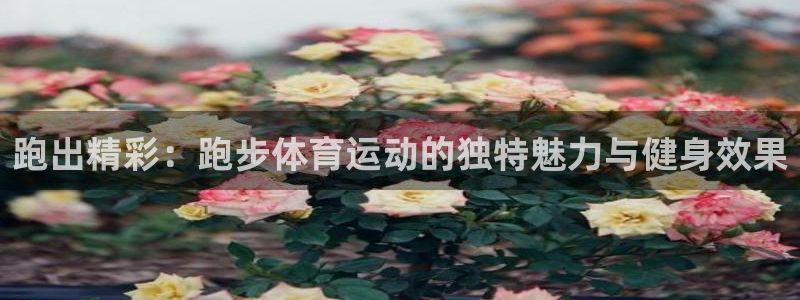 k1体育网址：跑出精彩：跑步体育运动的独特魅力与健身效果
